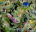 Click to see Abstract New 16.jpg