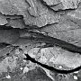 IlachinskiTAO02