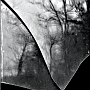 IlachinskiTAO05