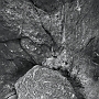 IlachinskiTAO21