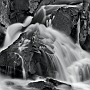 IlachinskiTAO37