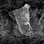 IlachinskiTAO55